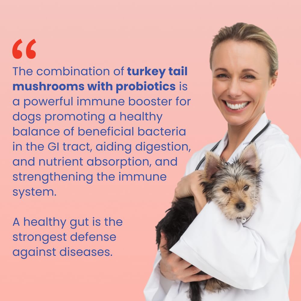 Fifth & Fido Turkey Tail Mushroom for Dogs – Lipoma Treatment for Dogs - Mushroom Supplement with Immune Support for Lipoma, Lumps & Bumps – Premium Pet Vitamins and Supplements Made in USA, 100 Serv.