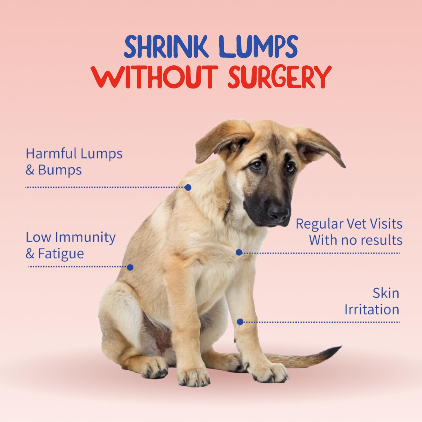Fifth & Fido Turkey Tail Mushroom for Dogs – Lipoma Treatment for Dogs - Mushroom Supplement with Immune Support for Lipoma, Lumps & Bumps – Premium Pet Vitamins and Supplements Made in USA, 100 Serv.