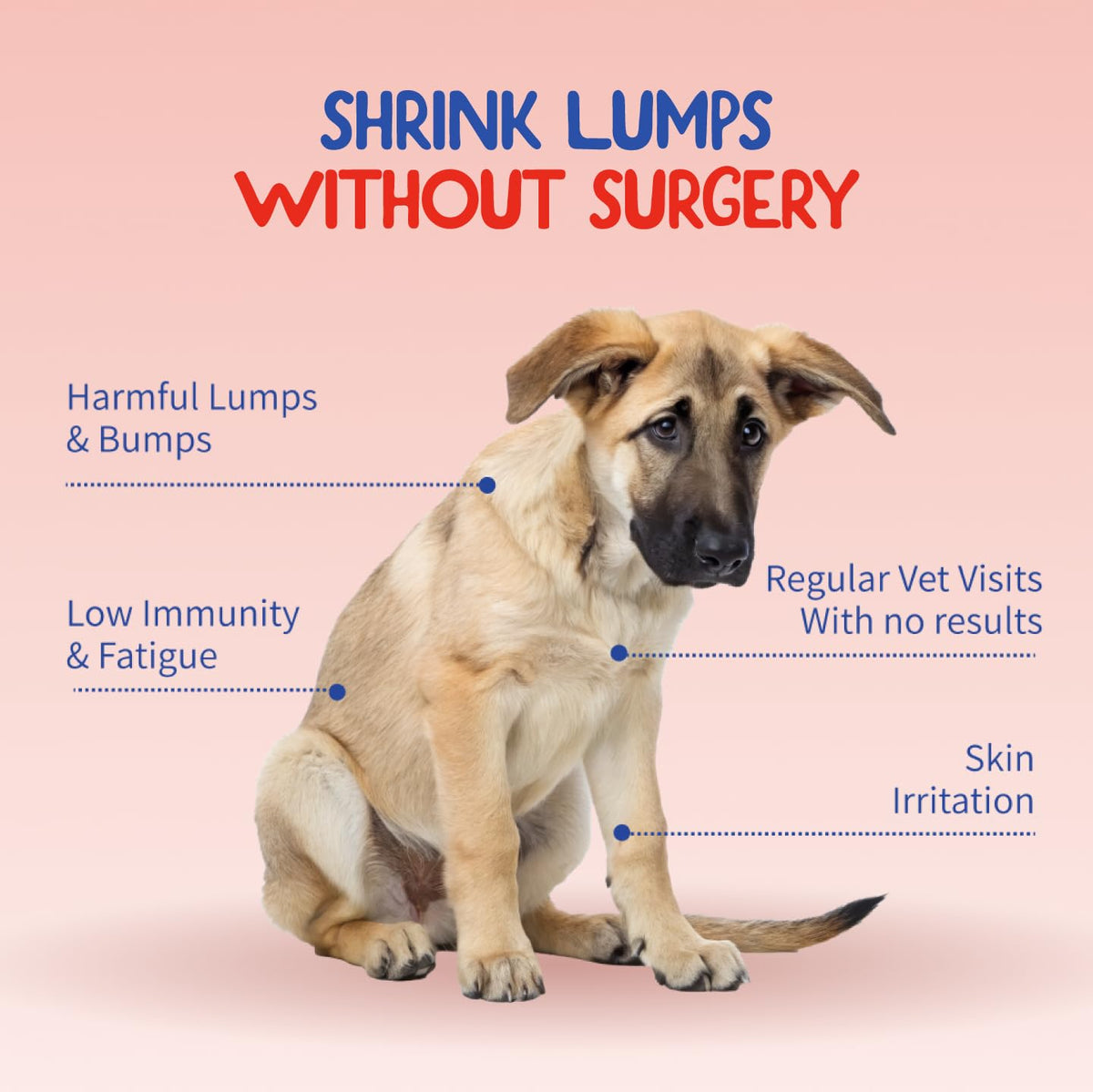 Fifth & Fido Turkey Tail Mushroom for Dogs – Lipoma Treatment for Dogs - Mushroom Supplement with Immune Support for Lipoma, Lumps & Bumps – Premium Pet Vitamins and Supplements Made in USA, 100 Serv.