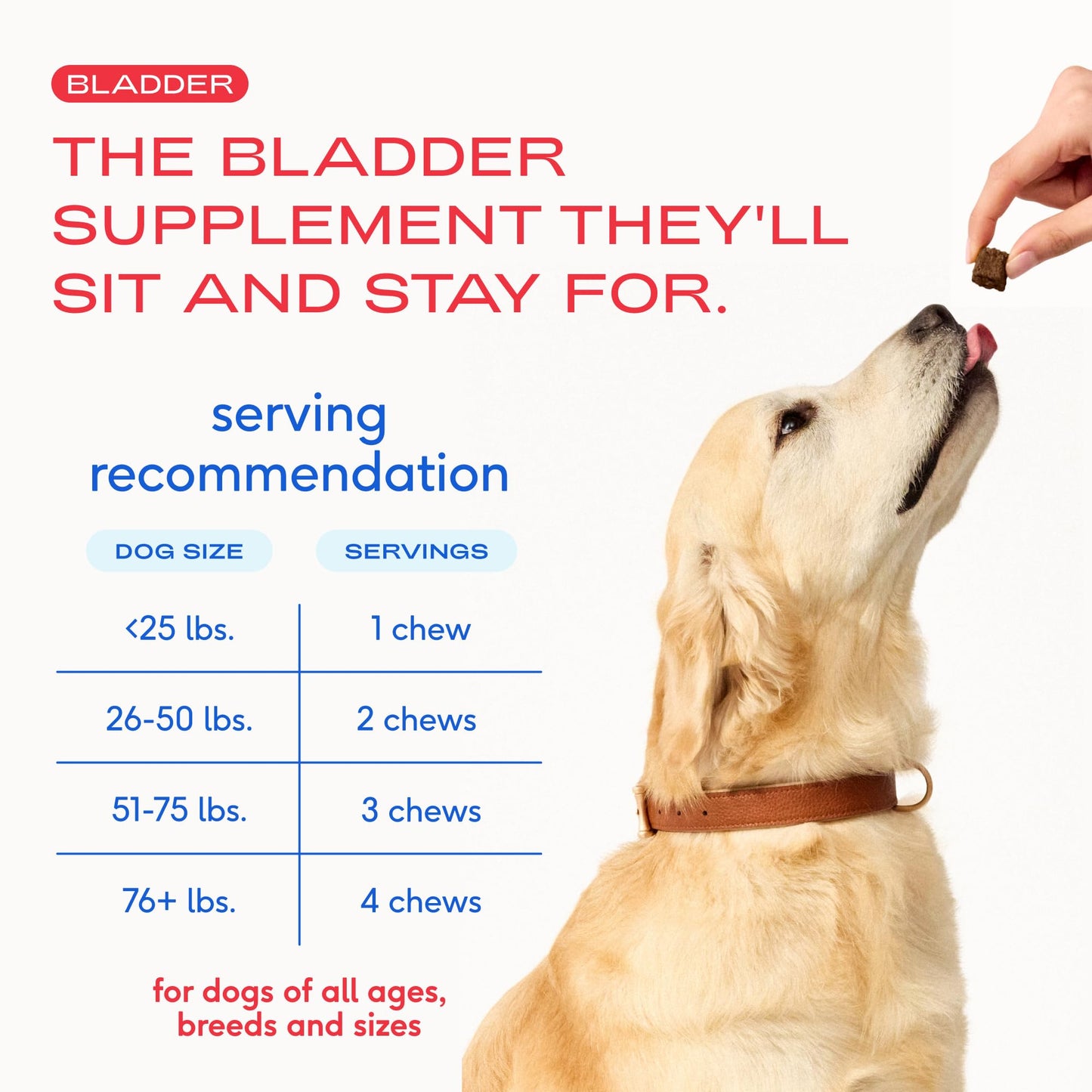Native Pet Dog UTI Treatment - Cranberry Supplement for Dogs - Supports Normal Bladder Function, Urinary Tract & Kidney Health - Real Cranberry Extract, D-Mannose & Probiotics - Air-Dried - 60 Chews