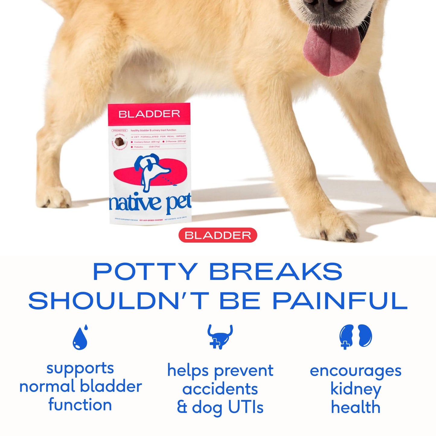 Native Pet Dog UTI Treatment - Cranberry Supplement for Dogs - Supports Normal Bladder Function, Urinary Tract & Kidney Health - Real Cranberry Extract, D-Mannose & Probiotics - Air-Dried - 60 Chews