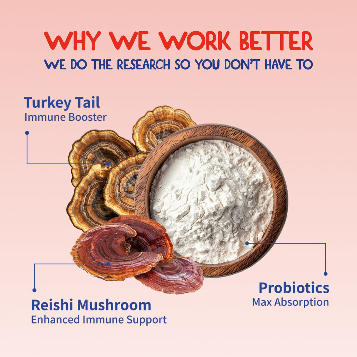 Fifth & Fido Turkey Tail Mushroom for Dogs – Lipoma Treatment for Dogs - Mushroom Supplement with Immune Support for Lipoma, Lumps & Bumps – Premium Pet Vitamins and Supplements Made in USA, 100 Serv.
