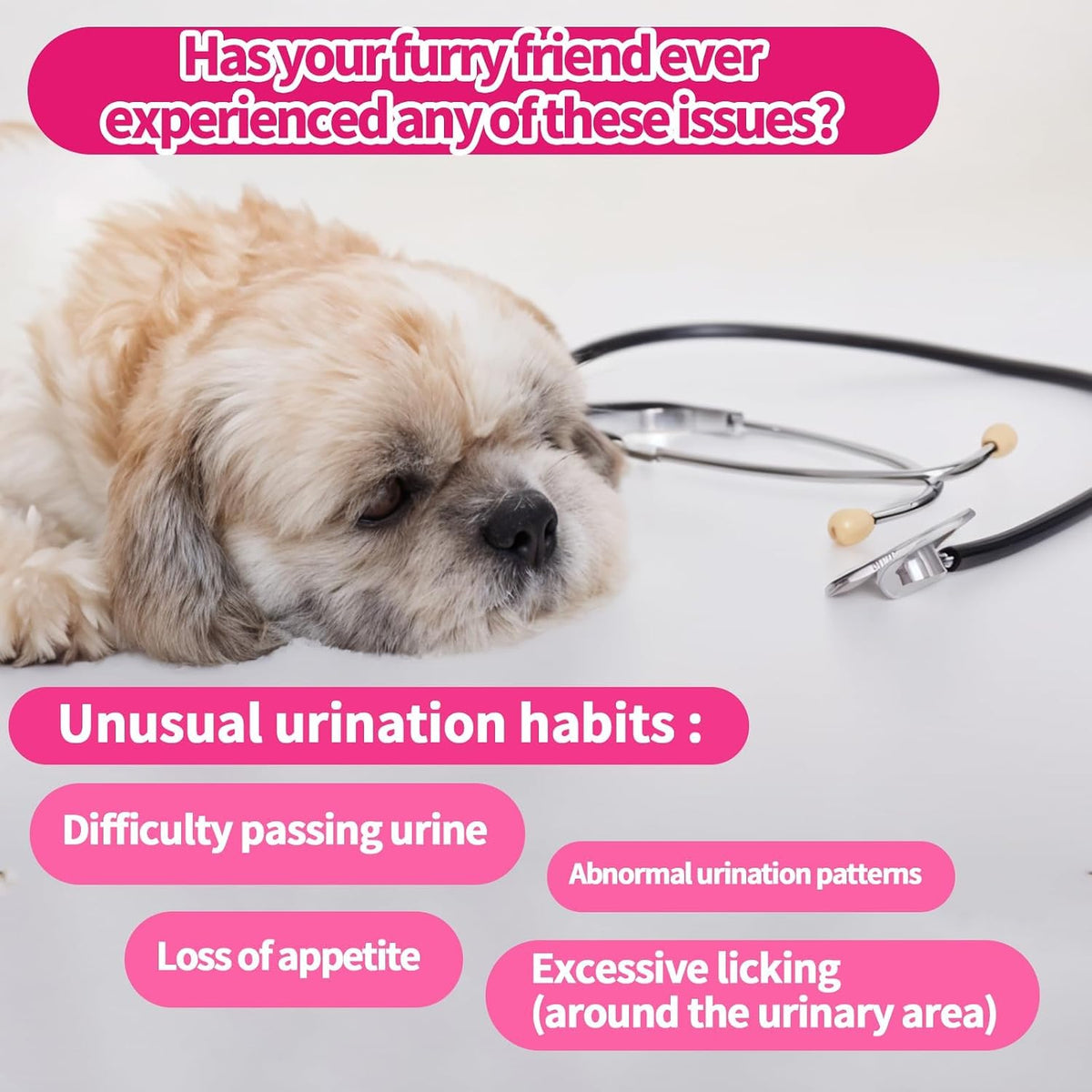 Cranberry for Dogs, Dog Urinary Tract & Bladder Support + D-Mannose, 200ct | Dogs Cranberry Chews with D-Mannose, Bladder & Kidney for Dogs, Urinary Tract Support, Immune & Gut Support, Chicken, 200ct