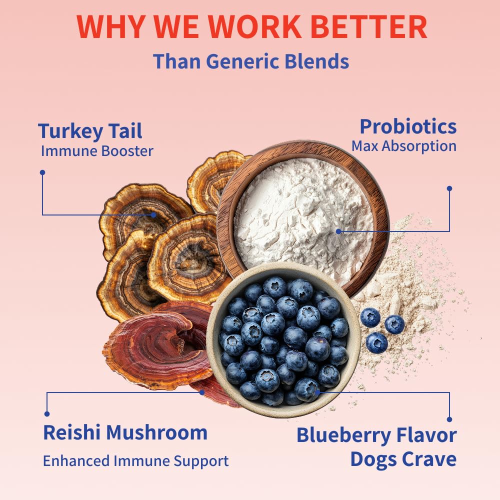 Fifth & Fido Turkey Tail Mushroom for Dogs – Lipoma Treatment for Dogs - Mushroom Supplement with Immune Support for Lipoma, Lumps & Bumps – Premium Pet Vitamins and Supplements Made in USA, 100 Serv.