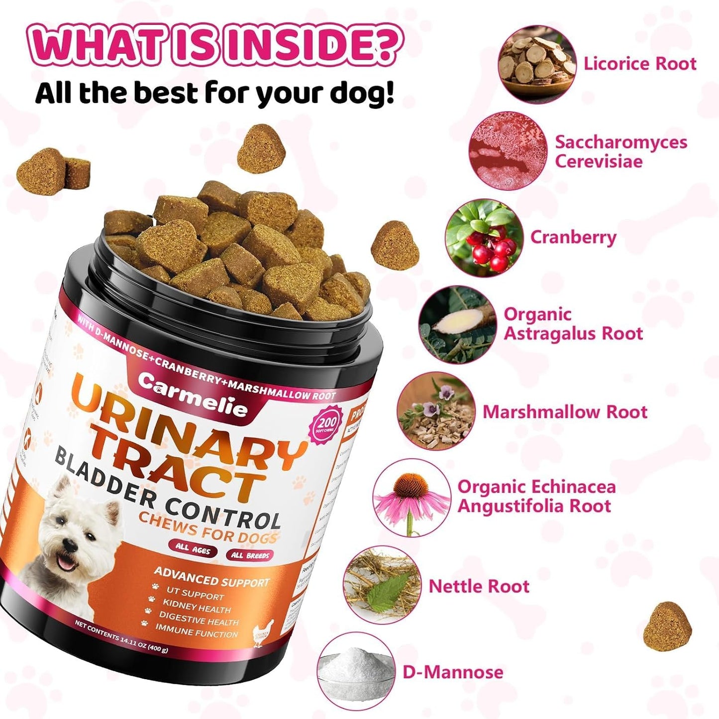 Cranberry for Dogs, Dog Urinary Tract & Bladder Support + D-Mannose, 200ct | Dogs Cranberry Chews with D-Mannose, Bladder & Kidney for Dogs, Urinary Tract Support, Immune & Gut Support, Chicken, 200ct